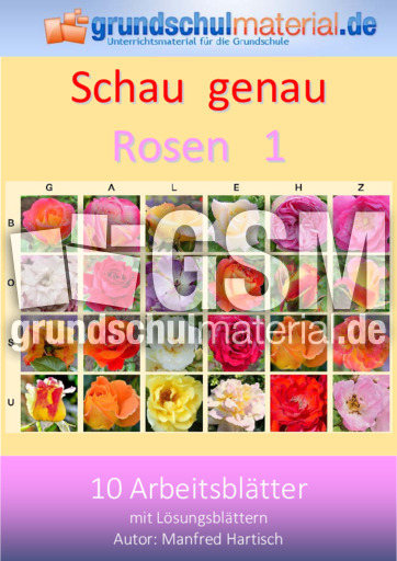 Rosen.pdf